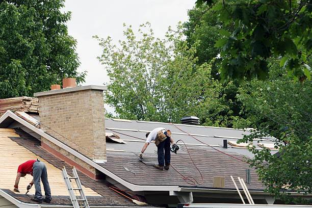 Best Roof Gutter Cleaning  in Dodge Center, MN
